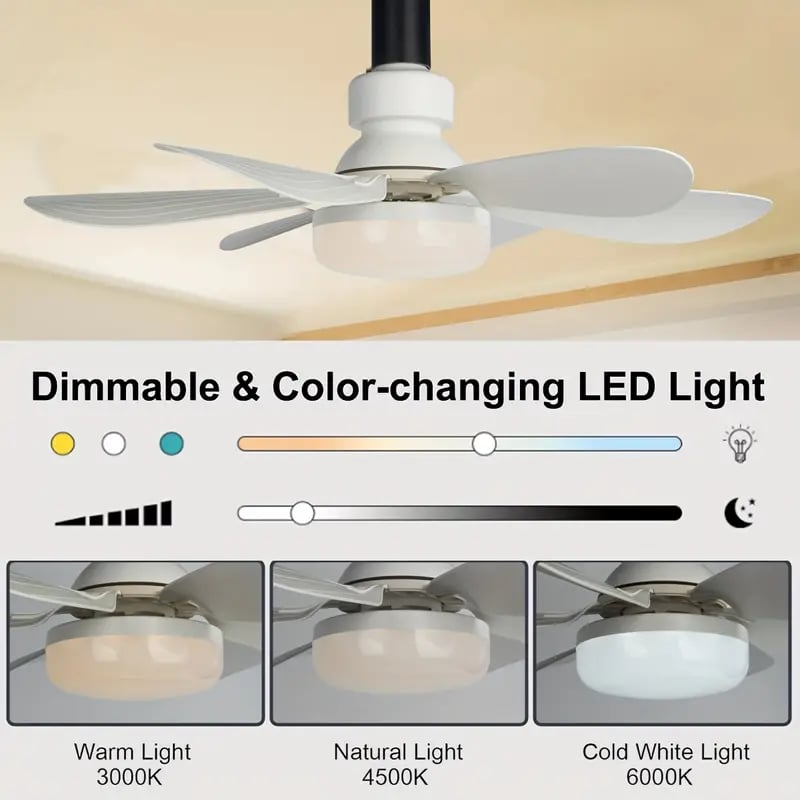 Ventilateur de Plafond Portable 2-en-1 avec Télécommande et Lampe